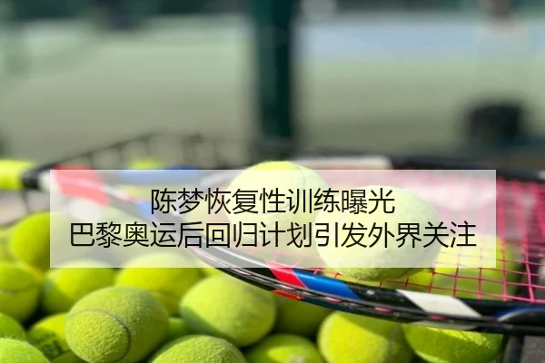 陈梦恢复性训练曝光 巴黎奥运后回归计划引发外界关注