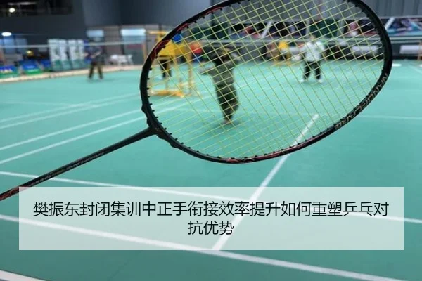 樊振东封闭集训中正手衔接效率提升如何重塑乒乓对抗优势