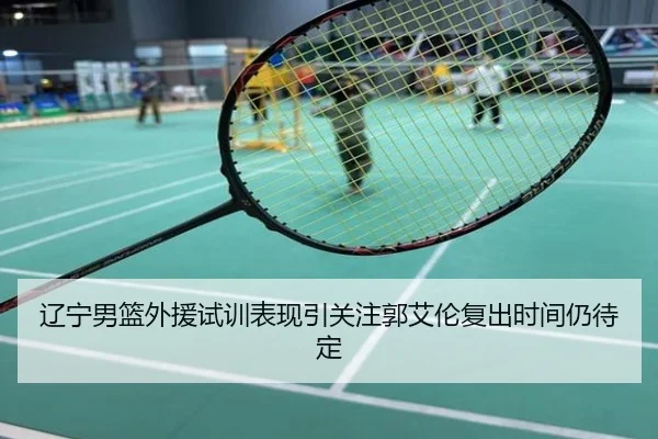 辽宁男篮外援试训表现引关注郭艾伦复出时间仍待定